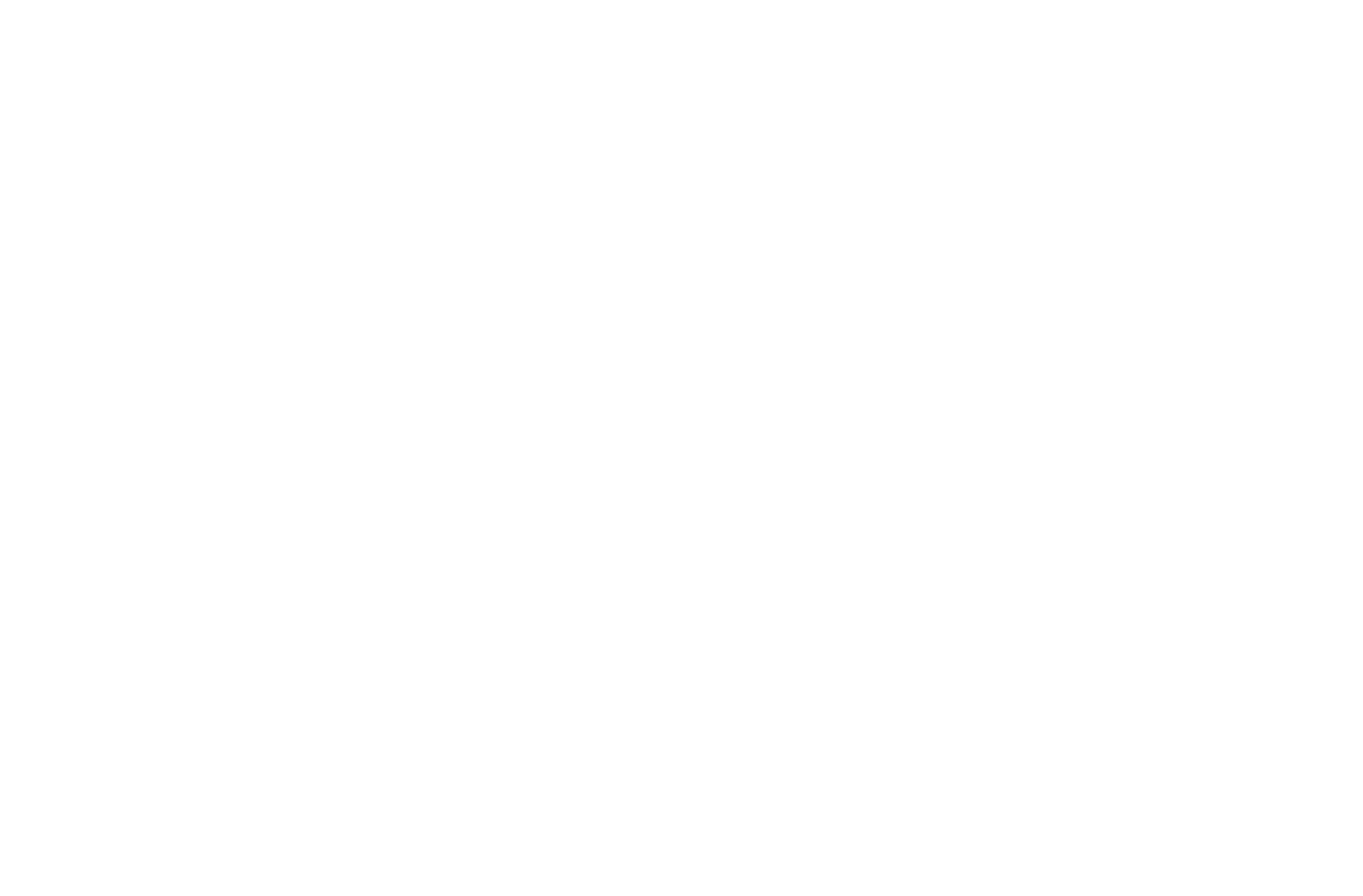 Evolution Mining company logo featured in Total Fire Solutions client testimonials.